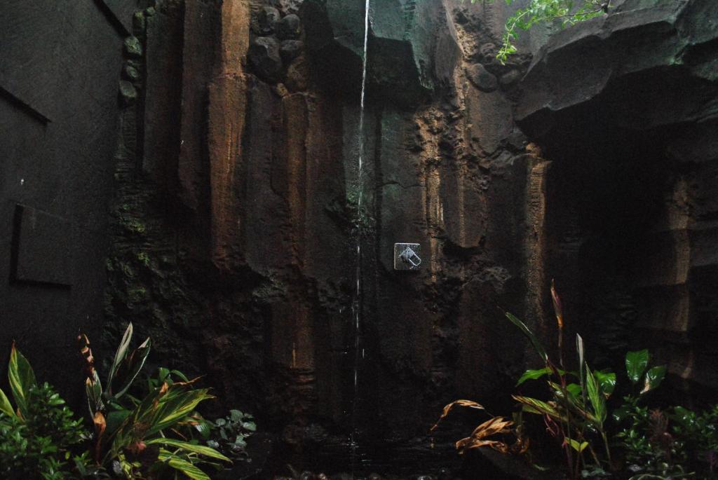 Trijaya Guest House Pemuteran Exterior photo